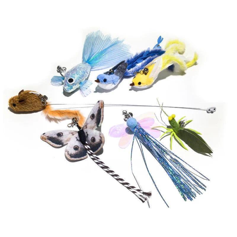 Mini gato de Rola Teaser