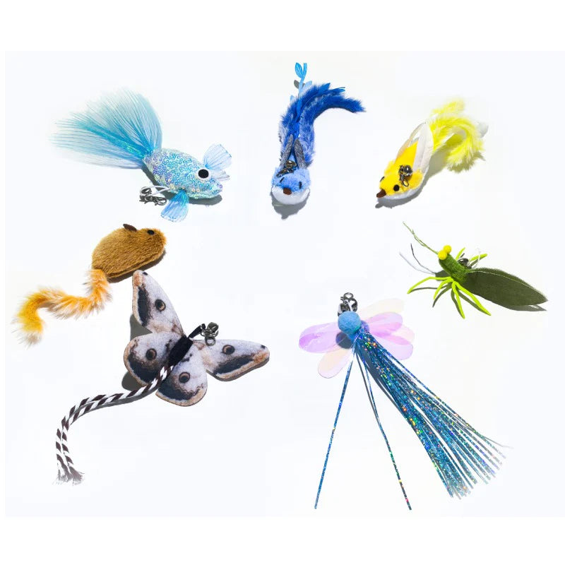 Mini gato de Rola Teaser