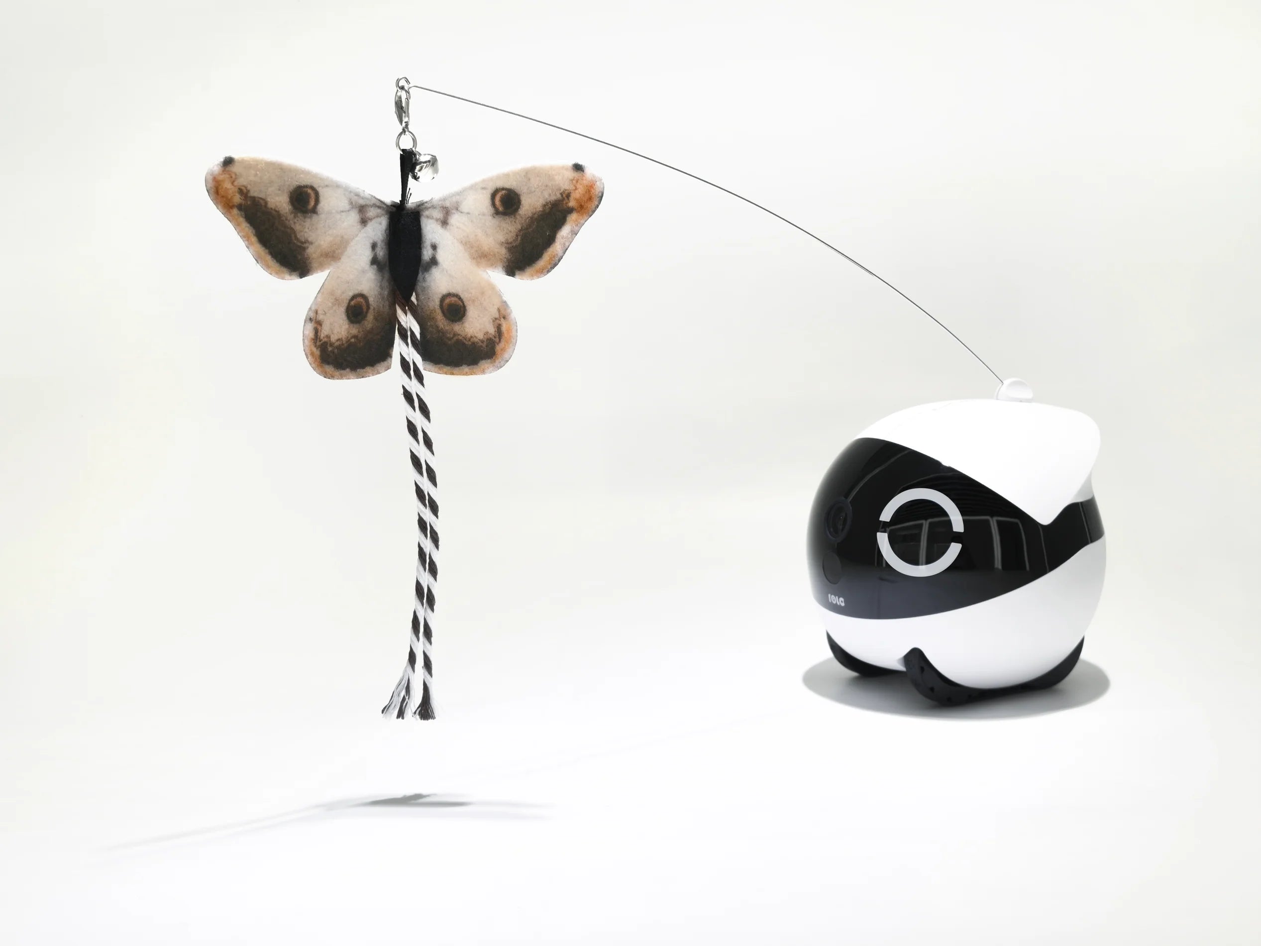 Mini gato de Rola Teaser