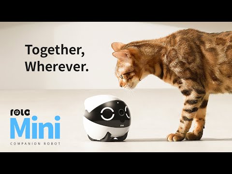 Mini monitor para mascotas ROLA
